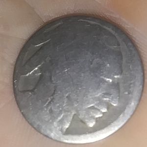 Coin buffalo nickel